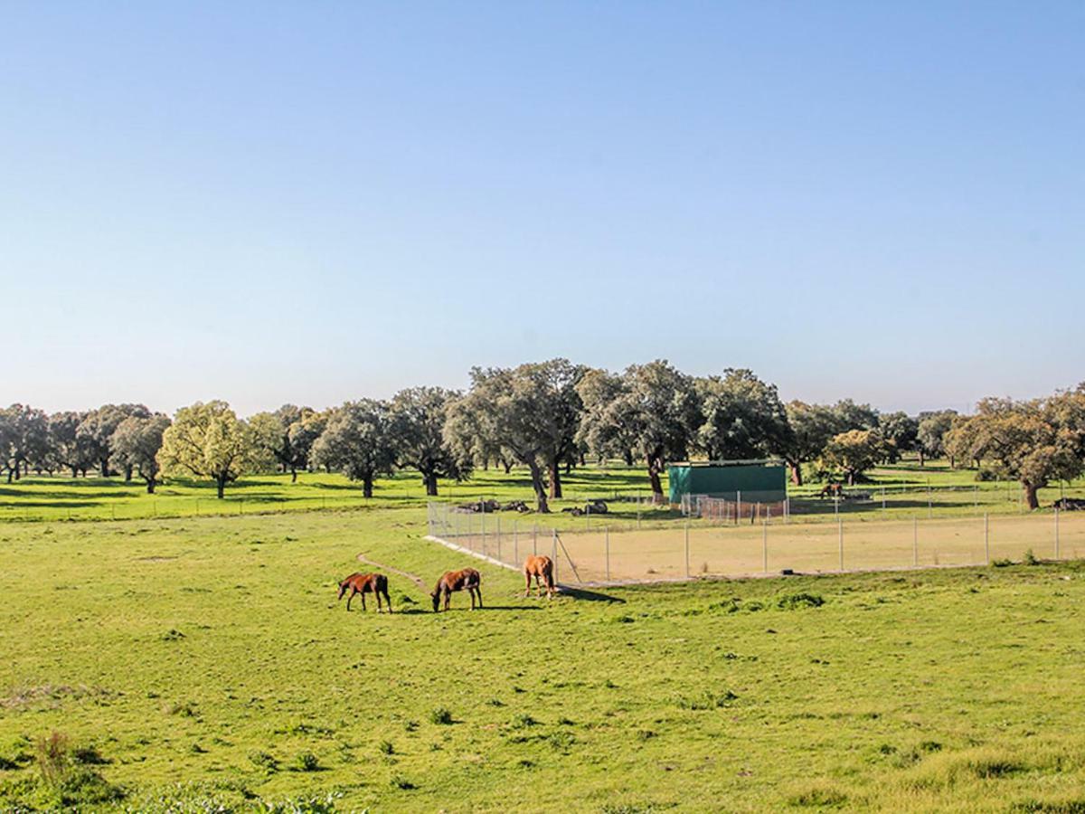 El Toril Glamping Experience Villa Parrillas Dış mekan fotoğraf