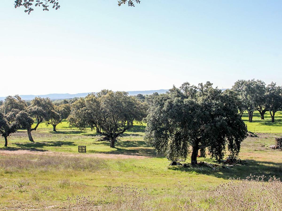 El Toril Glamping Experience Villa Parrillas Dış mekan fotoğraf